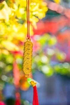 bầu cua di động Nohu